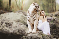 tiger friend