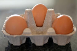 eggs